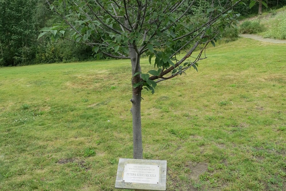 Patsy Newton's Memorial Tree Planting